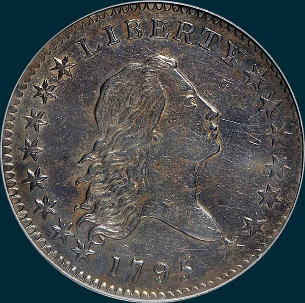 1795, O-121 Edge, Flowing Hair, Half Dollar