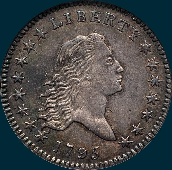 1795, O-120 Edge, Flowing Hair, Half Dollar