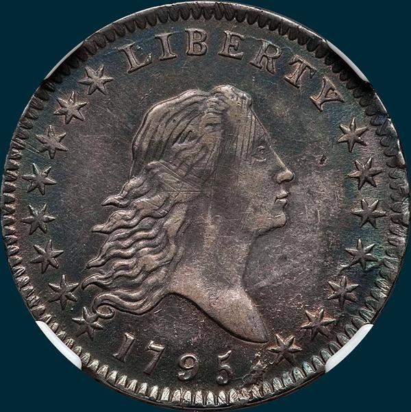 1795, O-113a,  Flowing Hair, Half Dollar