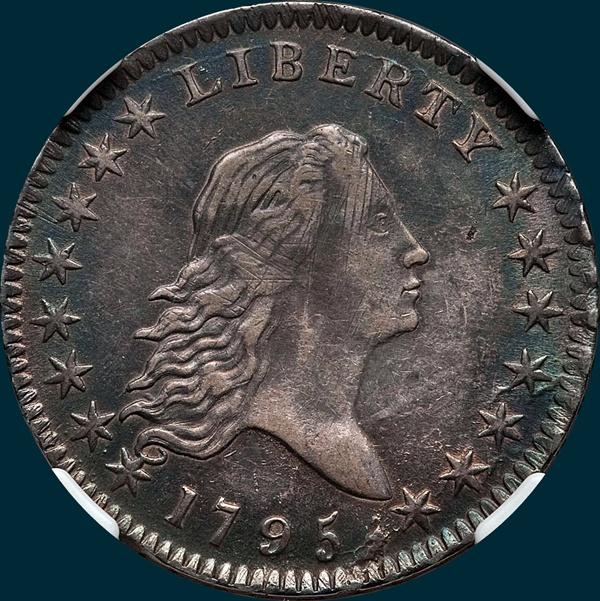 1795, O-113a, Flowing Hair, Half Dollar