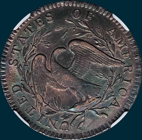 1795, O-113a,  Flowing Hair, Half Dollar