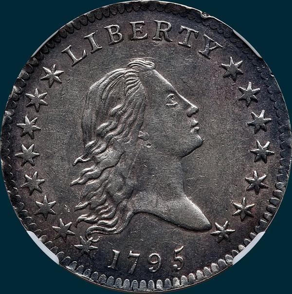 1795, O-131 Edge, Flowing Hair, Half Dollar