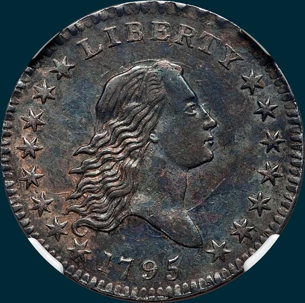 1795, O-110, Flowing Hair, Half Dollar