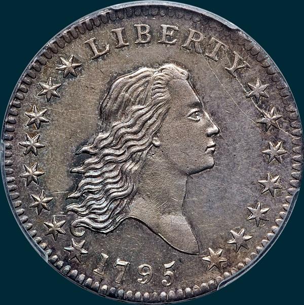 1795, O-110a,  Flowing Hair, Half Dollar