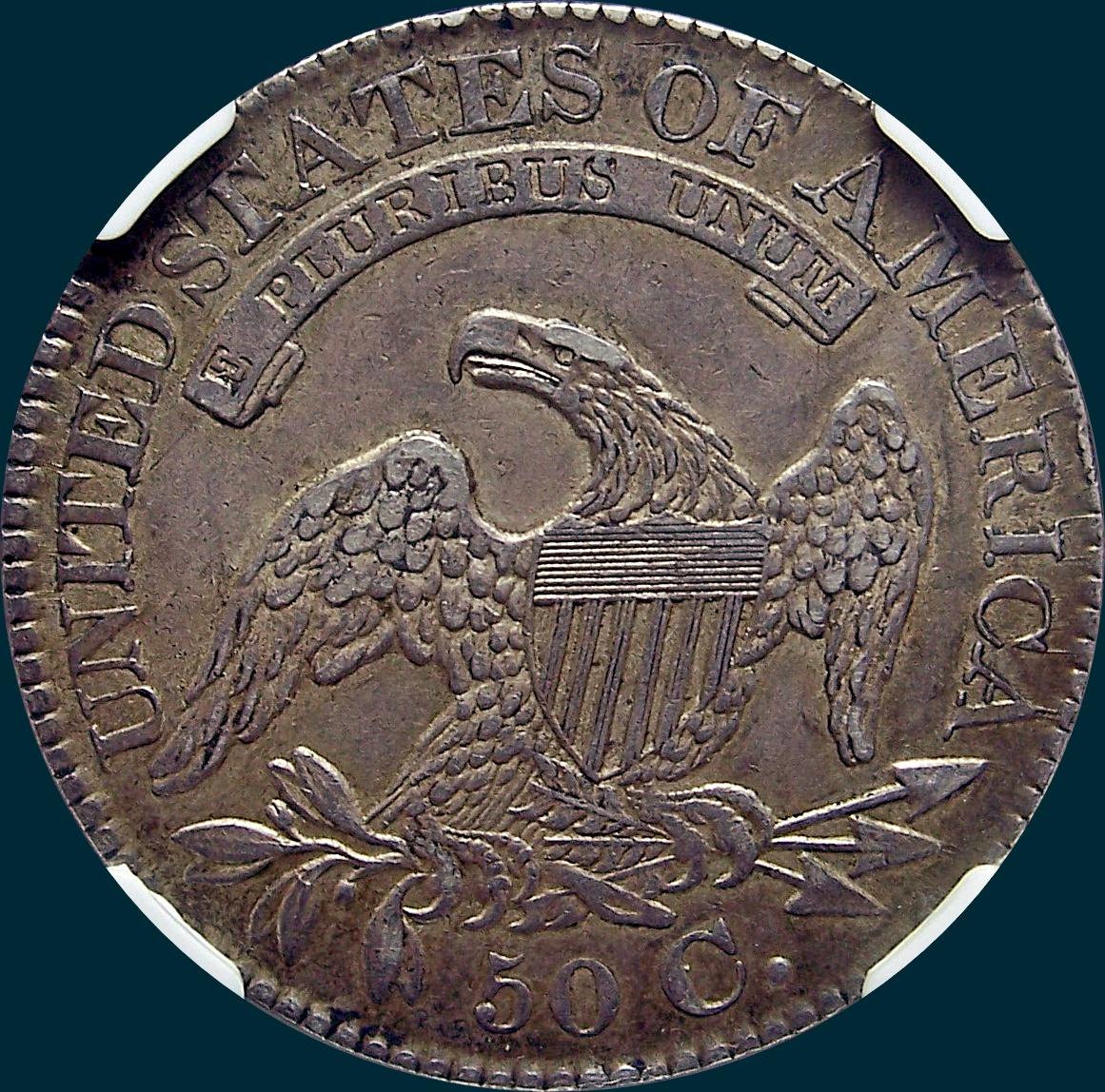 1828 O-110, small 8's large letters, capped bust half dollar