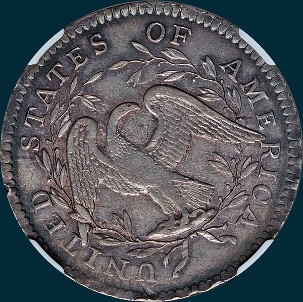 1795, O-116 Edge, Flowing Hair, Half Dollar