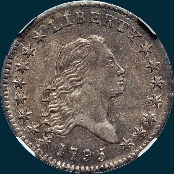 1795, O-116 Edge, Flowing Hair, Half Dollar
