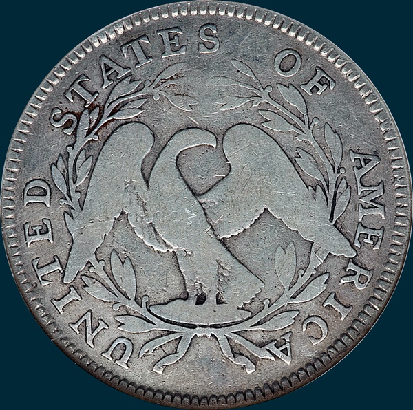 1795 O-132, Flowing Hair, Half Dollar